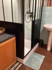 a bathroom with a shower and a sink at Maisonnette Nantes in Nantes +33 photos