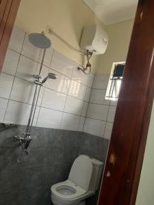 a bathroom with a toilet and a shower at St. Patrick’s Forest House in Entebbe