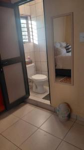 a bathroom with a toilet and a mirror at Hyponia 1512 in Oshikuku