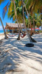 a black frisbee laying on the beach with palm trees at camping eco demar achu in Cayos Los Grullos