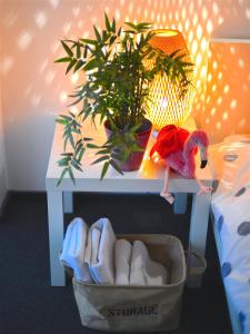 Fotografie z fotogalerie ubytování Hotel Biscuit v destinaci Kluž