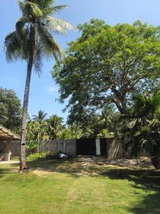 a palm tree in a yard next to a fence at Casa Maria in Sibulan