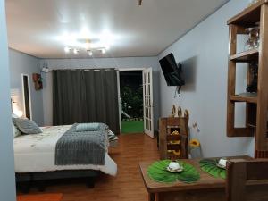 a bedroom with a bed and a table and a tv at Mini Regugio in Chillán +16 photos