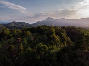 eine Luftaufnahme eines Waldes mit Bergen im Hintergrund in der Unterkunft Bosque de Niebla in Tlatlauquitepec