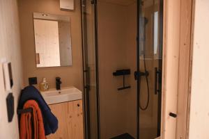 a bathroom with a shower and a sink at Tiny House Nook 3 - Green&Tiny Hideaway Eider in Süderstapel +42 photos