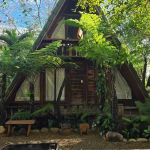 a tree house in the woods with a bench and trees at tropical garden homestay in Lien Khuong Airport