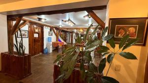 a hallway with a potted plant in a room at Hotel Maderanegra By Huasicama in Latacunga