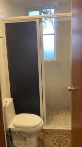 a bathroom with a toilet and a walk in shower at Coastal Charm in Ixtapa +6 photos