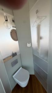 a small bathroom with a toilet and a shower at La Casa del Desierto in Gorafe
