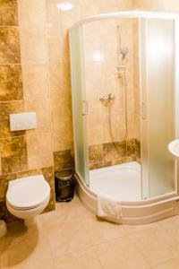 a bathroom with a shower and a toilet and a sink at Hotel - Restauracja Platan in Sędziszów Małopolski