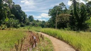 a dirt road in the middle of a field at RanaHansa Villa in Kegalle