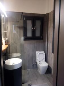 a bathroom with a white toilet and a sink at The swanky studio in Anatolí