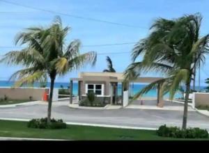 a house with palm trees in front of the ocean at The Cosy Home in Lucea