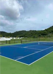 a tennis court with a blue and green at The Cosy Home in Lucea