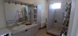 a bathroom with a sink and a shower at La maisonnette in Cléry-Saint-André +16 photos
