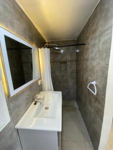 a bathroom with a sink and a shower with a mirror at Le Cocon de Didon in Tunis