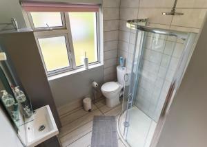 a small bathroom with a toilet and a shower at Beentee View - Cahersiveen in Cahersiveen +13 photos