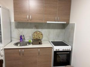 eine kleine Küche mit Spüle und Herd in der Unterkunft Apartman Katarina in Foča + 20 Fotos