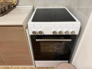 ein weißer Herd mit Backofen in einer Küche in der Unterkunft Apartman Katarina in Foča