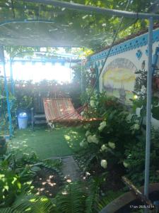 a patio with a hammock in a garden at Casa de vacanta ,,Puiu & Nelly,, in Sulina +5 photos