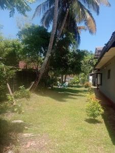 a yard next to a house with a palm tree at Lakshmi Villa in Aluthgama