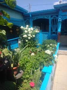 a garden in front of a blue building with plants at Casa de vacanta ,,Puiu & Nelly,, in Sulina