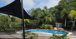 a swimming pool with a black umbrella in a yard at Peninsula Caravan Park Cooktown in Cooktown +16 photos