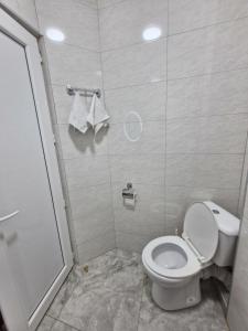 a bathroom with a toilet and a shower at Rystavi in Rustavi