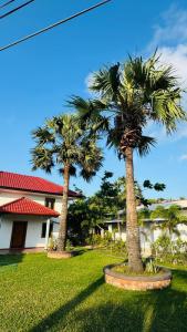 two palm trees in a yard in front of a house at Palmyra resort in Jaffna