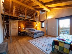 a bedroom with two bunk beds and a ladder at Meira Carlevara in San Maurizio