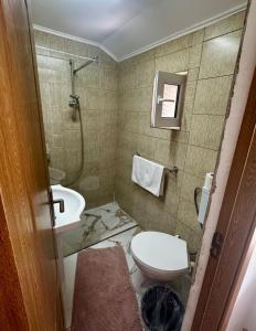 a small bathroom with a sink and a toilet at Casa Izvorul Rece in Hobiţa +52 photos