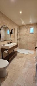 a bathroom with a sink and a shower and a toilet at Les Preuses, un Grand Cru de Chablis avec jacuzzi in Fontenay-près-Chablis