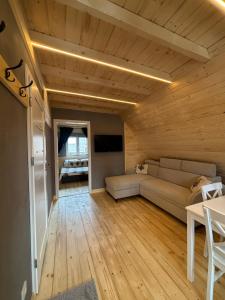 a living room with a couch and a television at Apartamenty u Załogi in Zakopane