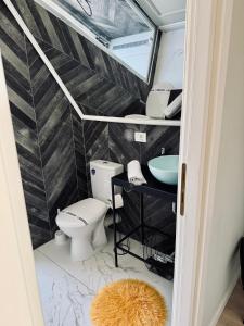 a bathroom with a toilet and a sink at Doinita House in Borşa +16 photos