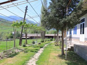 a yard next to a house with a tree at Ali guest house Samarkand in Aman-Kutan