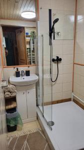 a bathroom with a shower and a sink at Forest Sulimówka - dom na wyłączność z dala od sąsiadów in Ruda Kameralna +39 photos