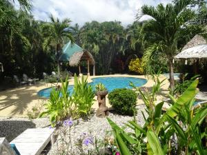 una piscina resort con cenador y plantas en Indigo Yoga Surf Resort, en Mal País