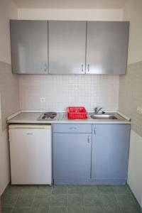 Kuchyň nebo kuchyňský kout v ubytování Panorama Apartments