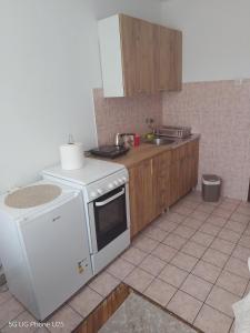 a kitchen with a white stove and a sink at APARTMAN MINnA in Kuršumlija