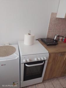 a white stove top oven with a roll of toilet paper on top at APARTMAN MINnA in Kuršumlija +30 photos