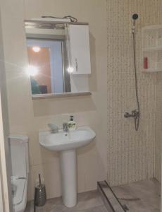 a bathroom with a sink and a mirror and a toilet at ბინა მახინჯაურში in Makhinjauri