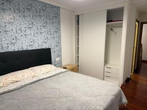 ein Schlafzimmer mit einem großen Bett und einer Wand mit in der Unterkunft D&L 3 piso compartido in Vigo