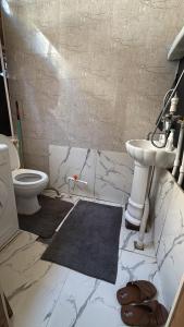 a bathroom with a sink and a toilet at Green side in Ganja