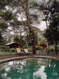 two chairs sitting next to a pool of water at the Roost Tented Camp in Arusha