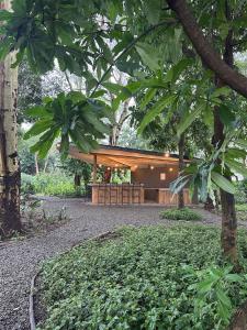 a building in the middle of a forest with trees at the Roost Tented Camp in Arusha +1 photo