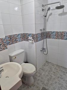 a bathroom with a shower and a toilet and a sink at the stay Paju in Paju +46 photos