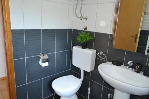 a bathroom with a toilet and a sink at Black and White Spacious Apartment in Hvar