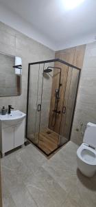 a bathroom with a shower with a toilet and a sink at Apartments Agnes in Dobrota