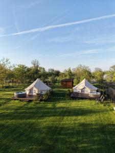a group of tents in a field of grass at Green Garden Glamping Retezat in Bălan