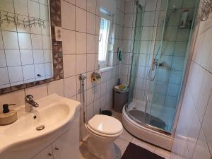a bathroom with a toilet and a sink and a shower at HH Klara in Ozalj +43 photos